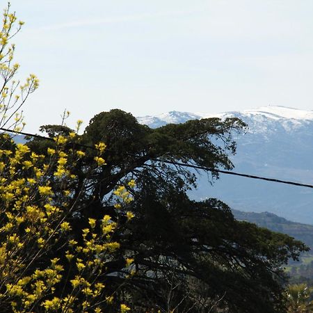 Quartos Em Vivenda Serra Da Estrela セロリコ・ダ・ベイラ エクステリア 写真